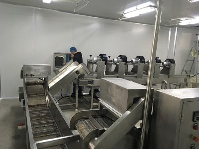 山東得能大健康產業(yè)保健食品凈化車間