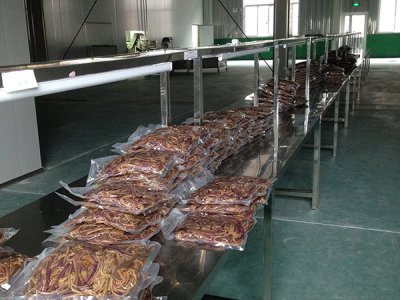 凈化車間的設(shè)計(jì)結(jié)構(gòu)介紹